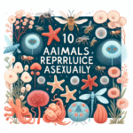 10 animales que se reproducen asexualmente